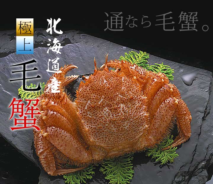 北海道産特大活毛蟹・ボイル冷凍毛蟹の通販・お取り寄せなら|北海道 旬の幸